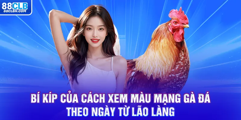 Bí kíp của cách xem màu mạng gà đá theo ngày từ lão làng 