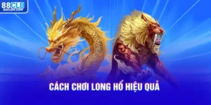 Cách Chơi Long Hổ Hiệu Quả