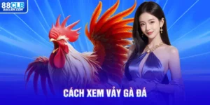 Cách Xem Vảy Gà Đá