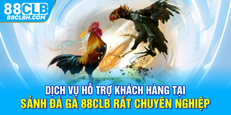 Dịch vụ hỗ trợ khách hàng tại sảnh đá gà 88CLB rất chuyên nghiệp