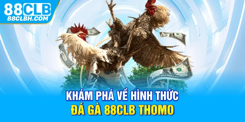 Khám phá về hình thức đá gà 88CLB Thomo