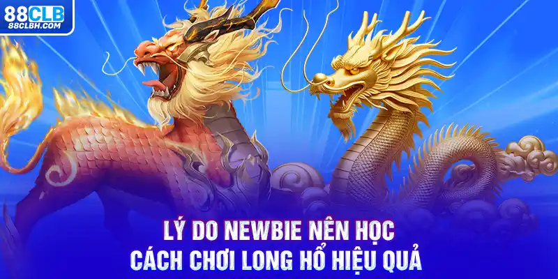 Lý do newbie nên học cách chơi Long Hổ hiệu quả 