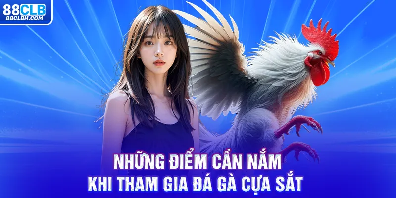 Những điểm cần nắm khi tham gia đá gà cựa sắt 