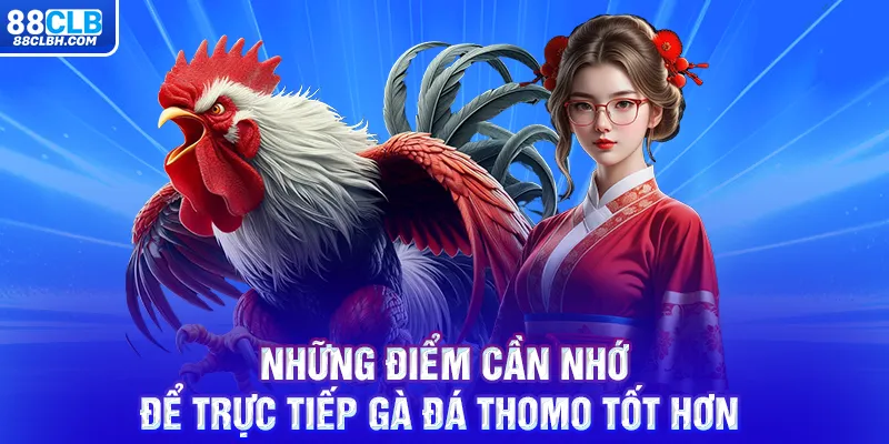 Những điểm cần nhớ để trực tiếp gà đá thomo tốt hơn 