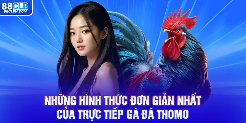 Những hình thức đơn giản nhất của trực tiếp gà đá thomo