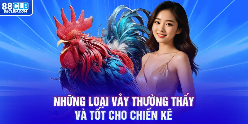 Những loại vảy thường thấy và tốt cho chiến kê