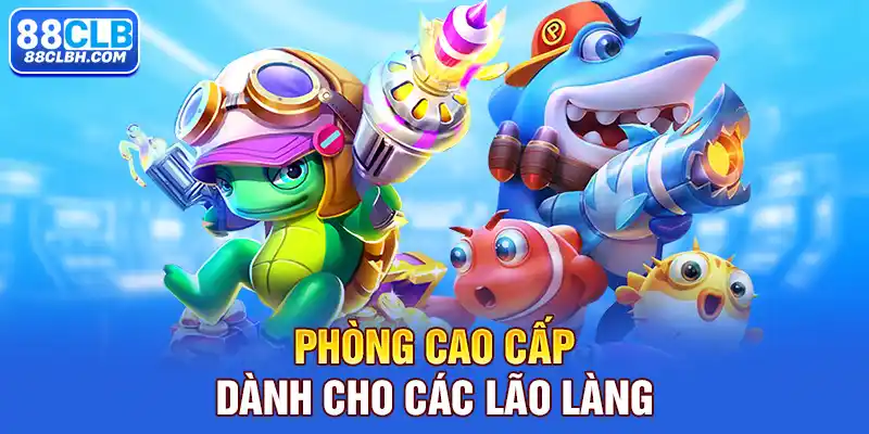 Phòng cao cấp dành cho các lão làng