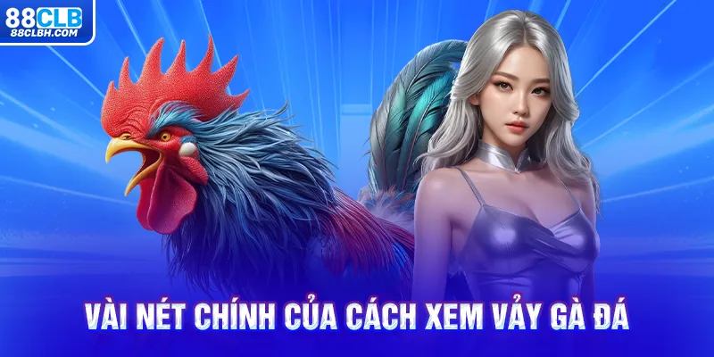 Vài nét chính của cách xem vảy gà đá