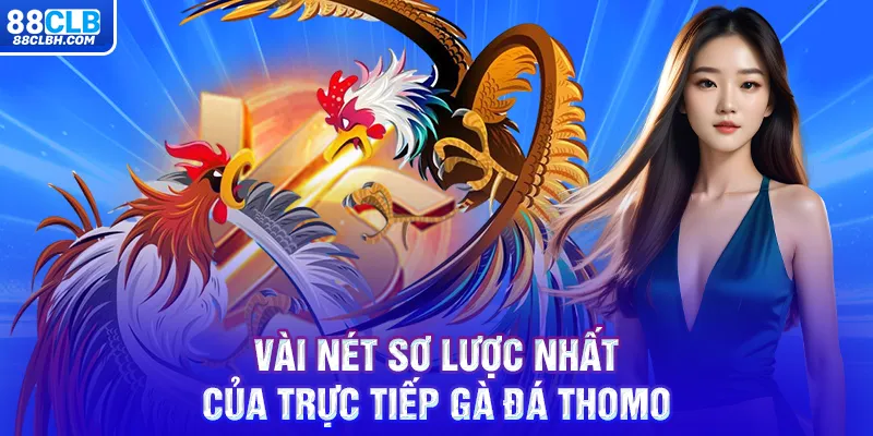 Vài nét sơ lược nhất của trực tiếp gà đá thomo