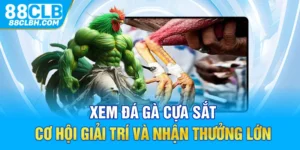 Xem Đá Gà Cựa Sắt - Cơ Hội Giải Trí Và Nhận Thưởng Lớn