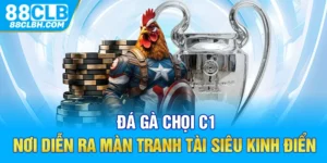 Đá Gà Chọi C1 - Nơi Diễn Ra Màn Tranh Tài Siêu Kinh Điển