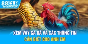 Xem Vảy Gà Đá Và Các Thông Tin Cần Biết Cho Anh Em