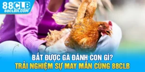 Bắt Được Gà Đánh Con Gì? Trải Nghiệm Sự May Mắn Cùng 88CLB