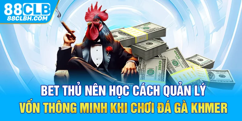 Bet thủ nên học cách quản lý vốn thông minh khi chơi đá gà Khmer