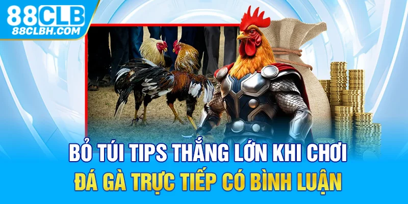 Bỏ túi tips thắng lớn khi chơi đá gà trực tiếp có bình luận