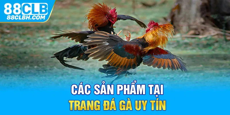 Các sản phẩm tại trang đá gà uy tín