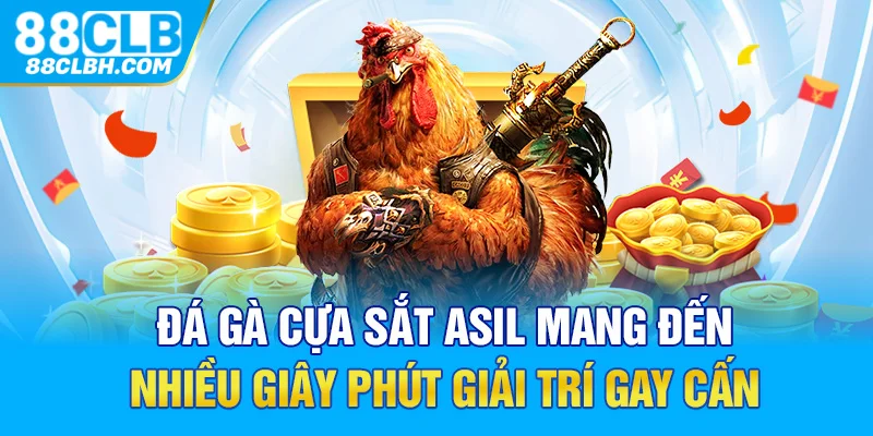 Đá gà cựa sắt Asil mang đến nhiều giây phút giải trí gay cấn