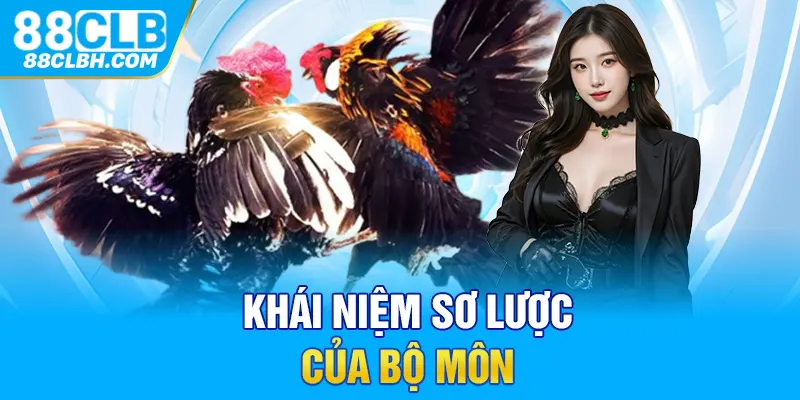 Khái niệm sơ lược của bộ môn