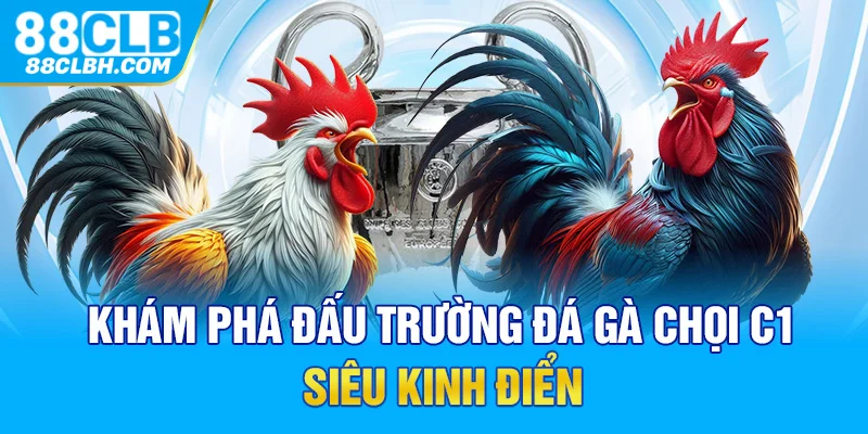 Khám phá đấu trường đá gà chọi C1 siêu kinh điển