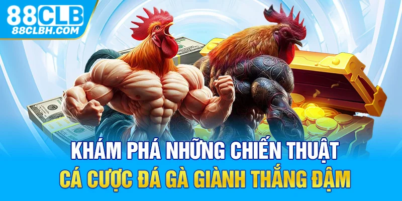 Khám phá những chiến thuật cá cược đá gà giành thắng đậm