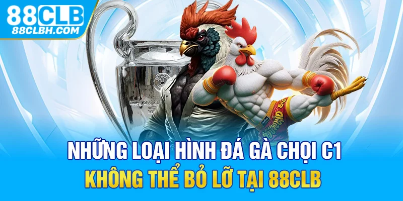 Những loại hình đá gà chọi C1 không thể bỏ lỡ tại 88CLB 