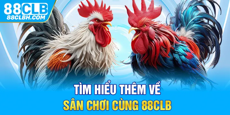 Tìm hiểu thêm về sân chơi cùng 88CLB