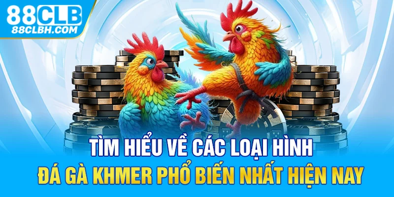 Tìm hiểu về các loại hình đá gà Khmer phổ biến nhất hiện nay