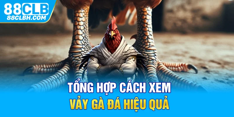 Xem vảy gà đá phủ địa 