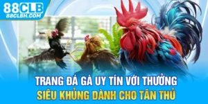 Trang Đá Gà Uy Tín Với Thưởng Siêu Khủng Dành Cho Tân Thủ